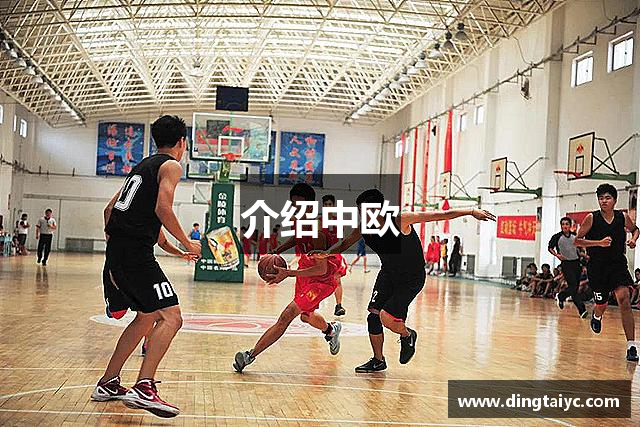 介绍中欧